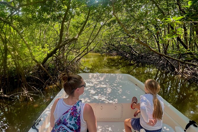 Everglades Mangrove Wilderness Boat Tour - Wildlife Chances: Dolphins, Manatees, and Birds Up Close