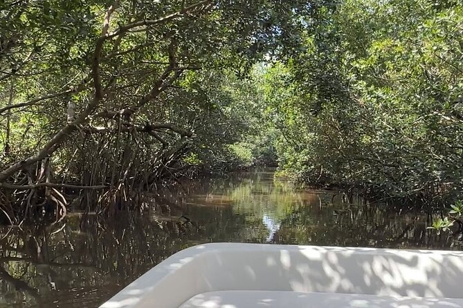 Everglades Mangrove Wilderness Boat Tour - Price Check: Is $68.90 Worth It?