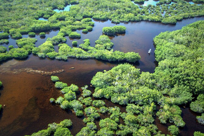 Everglades National Park Boat Tour - Price and Value: $60.48 Per Person Plus the Park Fee