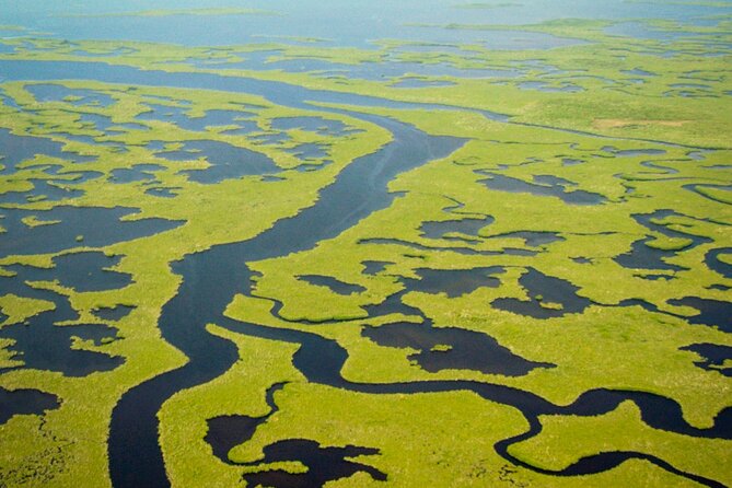 Everglades National Park Boat Tour - Who This Tour Fits Best
