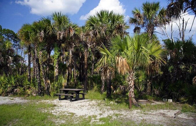 Everglades National Park Naturalist Led Hike, 2 Boat Trips + More - Key highlights at a glance