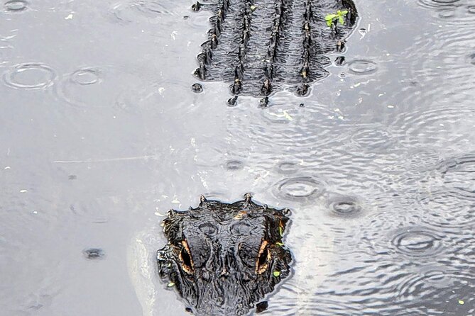 Everglades National Park Naturalist Led Hike, 2 Boat Trips + More - The Ochopee Post Office and Smallwood Store: quirky stops with real local flavor