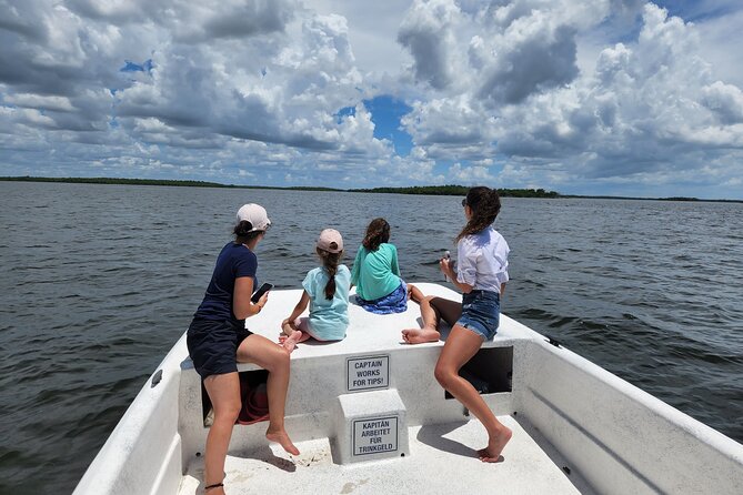 Everglades National Park Naturalist Led Hike, 2 Boat Trips + More - Big Cypress National Preserve walk: orchids, plants, and the slower side of Everglades nature