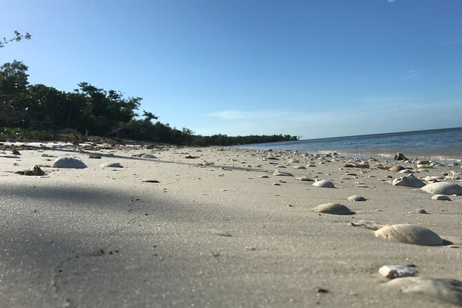 Everglades Small Group Guided Boating and Walking Expedition - What to bring for a better day (and what matters most)