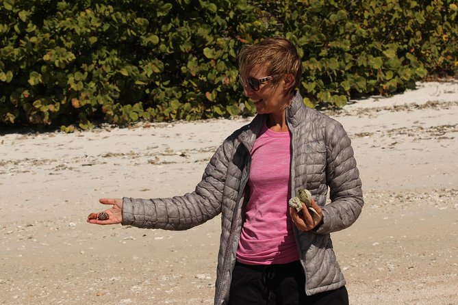 Everglades Small Group Guided Boating & Walking Tour Expedition - Quick practical checklist before you head out