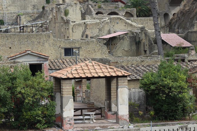 Excavations of Herculaneum. Tour guide and skip-the-line ticket - Parco Acheologico di Ercolano: Homes, Mosaics, and a City You Can Read