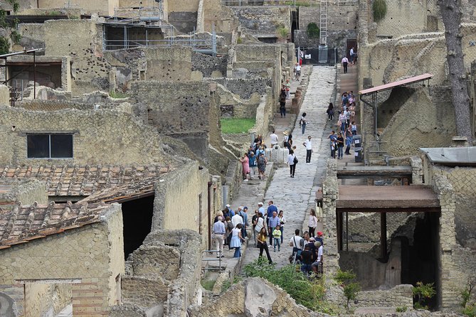 Excavations of Herculaneum. Tour guide and skip-the-line ticket - Price and Value: Is $81.45 a Smart Spend?