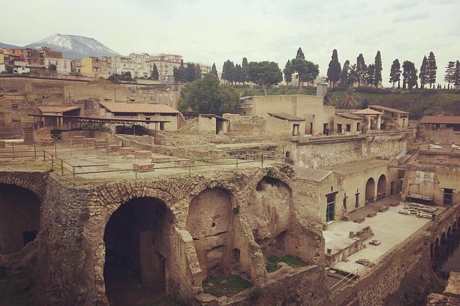 Excellence Private Herculaneum Guided Tour with an Archeologist - Parco Acheologico di Ercolano: bones, artifacts, and the Holy terrace