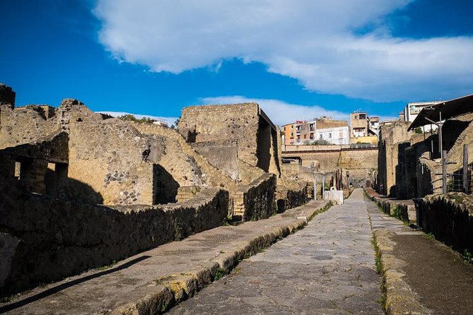 Exclusive Pompeii with Wine and Lunch on Vesuvius-Skip-the-line - Insula dei Casti Amanti and Teatro Grande: seeing neighborhoods and entertainment