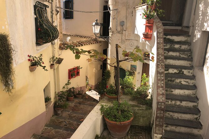 Exclusive Private Tour: Explore Pompeii and the Amalfi Coast - Lunch, timing, and not getting steamrolled by the day