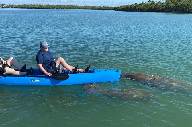 Exclusive Relax & Explore Pedal Kayak Tour Marco Island & Naples - Why Hobie Pedal Kayaks Feel So Chill in the Ten Thousand Islands