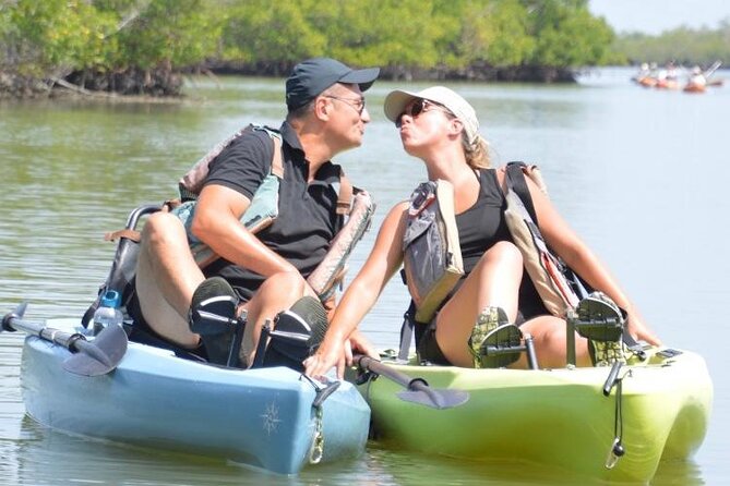 Exclusive Relax & Explore Pedal Kayak Tour Marco Island & Naples - Ten Thousand Islands Wildlife Refuge: Chasing Dolphins, Manatees, Rays