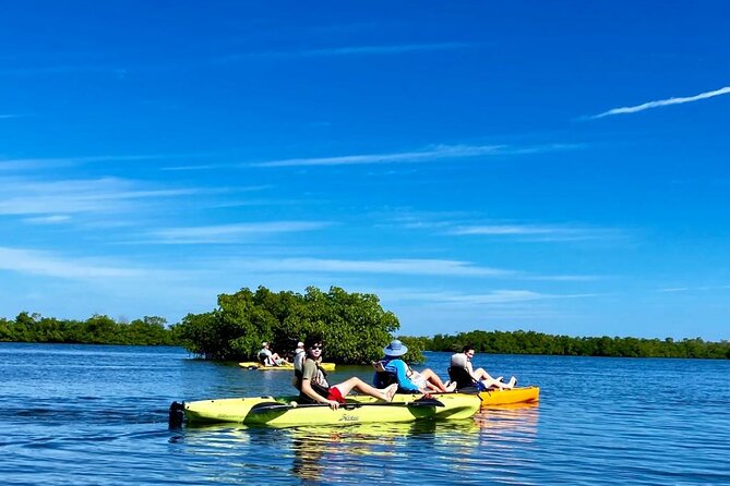 Exclusive Relax & Explore Pedal Kayak Tour Marco Island & Naples - Marco Island Mangrove Tunnels: Photos, Photos, Photos