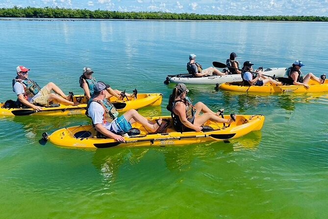 Exclusive Relax & Explore Pedal Kayak Tour Marco Island & Naples - Guides, Wildlife Stories, and the Free Photo Download