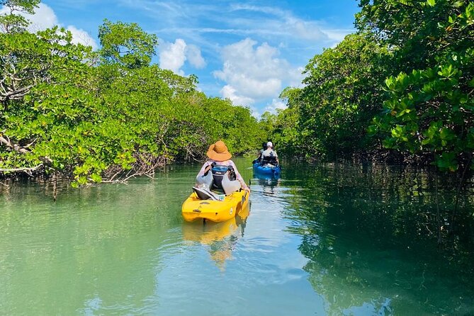 Exclusive Relax & Explore Pedal Kayak Tour Marco Island & Naples - Should You Book the Exclusive Relax & Explore Pedal Kayak Tour?