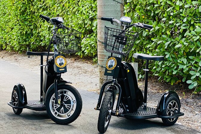 Explore Naples on a Guided Segway Tour - Naples by Segway: A Practical Way to See More Waterfront