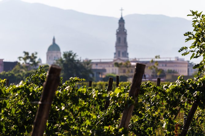 Explore Pompeii: Private Tour, Wine Tasting & Lunch - Bosco de’ Medici Winery: Vineyards, Cellar Tour, and a Lunch That Closes the Loop