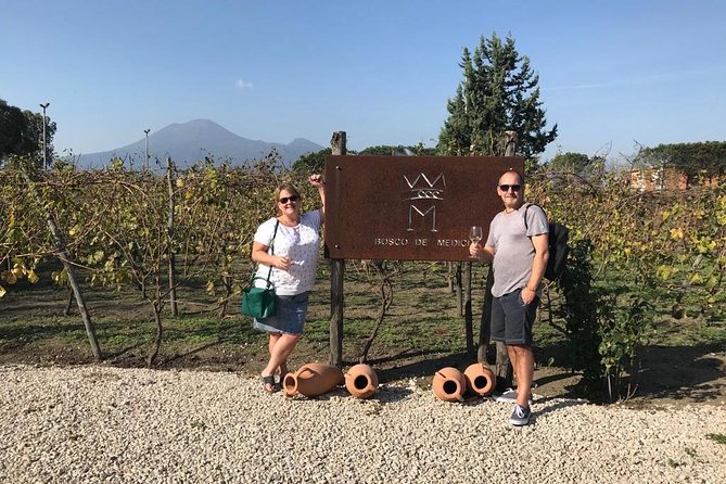Explore Pompeii: Private Tour, Wine Tasting & Lunch - Price and Value: What’s Included, What You’ll Pay Separately