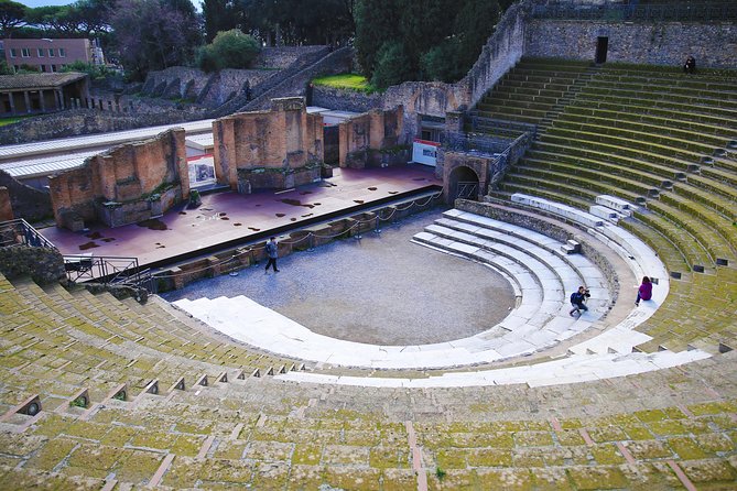 Fast Access Exclusive Private Ancient Pompeii Half Day Tour with Local Guide - Fast Entry With a Private, Art-Historian Guide