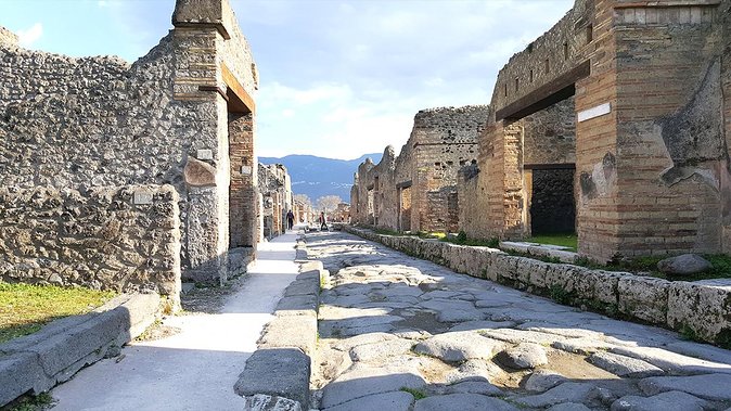 Fast Access Exclusive Private Ancient Pompeii Half Day Tour with Local Guide - Price and Value: What You’re Really Paying For