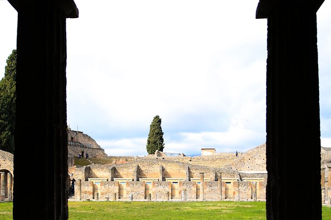 Fast Access Exclusive Private Ancient Pompeii Herculaneum & Oplontis Guided Tour - Pompeii’s Foro and Theater: Public Life in 15-Minute Chunks