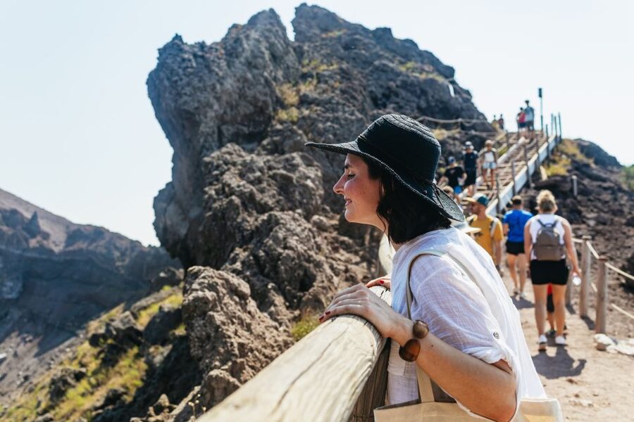 From Naples: All-Inclusive Mount Vesuvius Half-Day Tour - Who this Mount Vesuvius transfer is best for