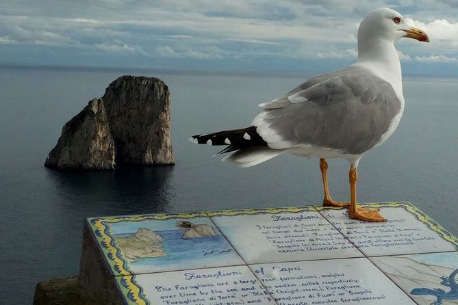 From Naples: Capri and Anacapri Guided Day Trip - What could affect your day: weather and the sea