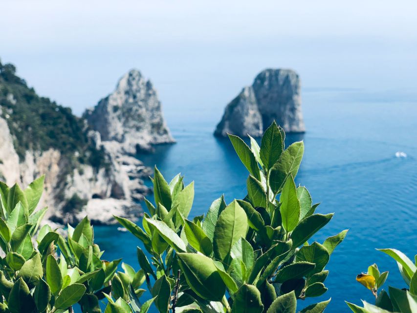 From Naples: Capri and Anacapri - Guided tour - From Naples to Capri: the Vesuvius-speedboat start