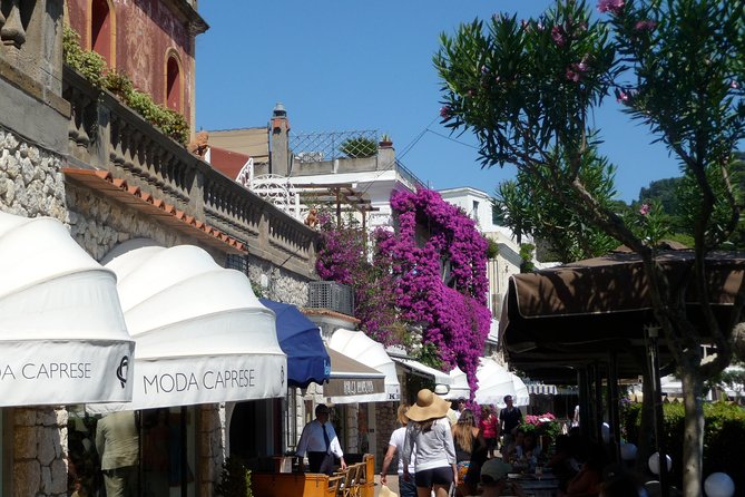 From Naples: Capri and Anacapri Small Group Tour + Ferry - Augustus Gardens: the view stop that’s worth the ticket