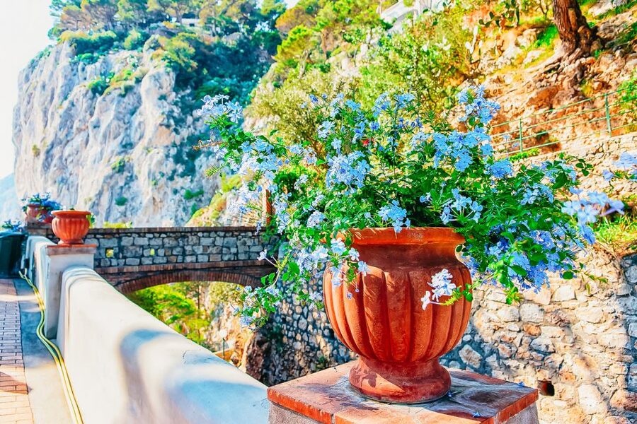 From Naples: Capri and Blue Grotto Day Tour - The Blue Grotto Plan: Weather-Dependent, Still Worth Organizing For