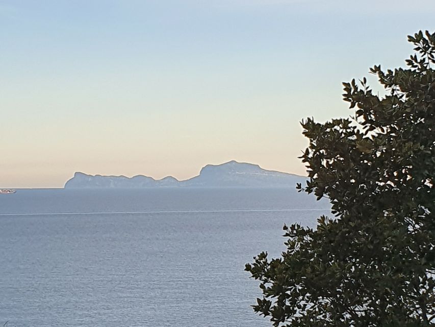 From Naples: Capri Day Trip with Lunch - Why this Capri day trip works from Naples