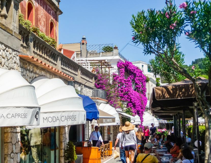 From Naples: Capri Guided Tour with Ferry Tickets & Minibus - The Gardens of Augustus: a private-park kind of stop