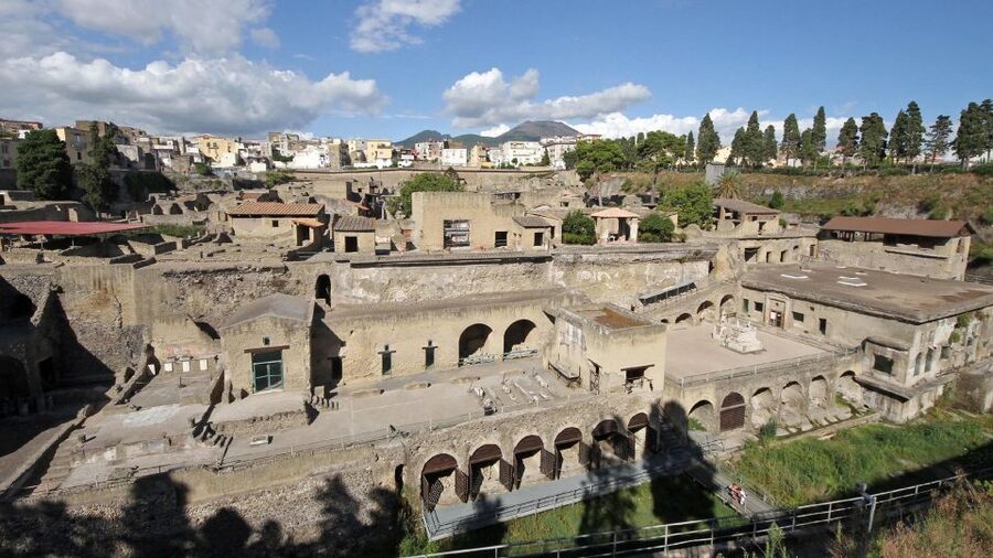 From Naples: Day Trip to Herculaneum with skip the line - Should you book this tour or plan it independently?
