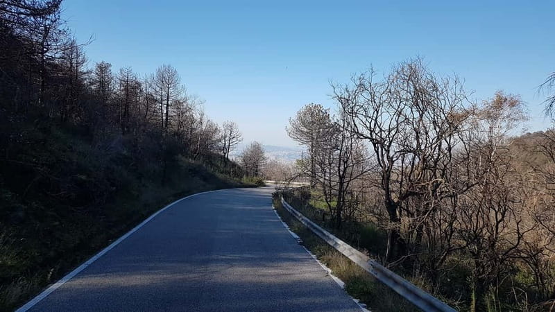 From Naples: Day Trip to Mount Vesuvius - How to plan your day in Naples around this trip