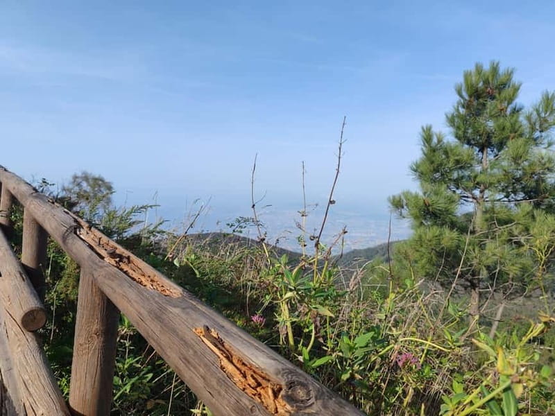 From Naples: Explore the ruins of Herculaneum and Vesuvius - Naples bus pickup and the stuff that can make or break your day