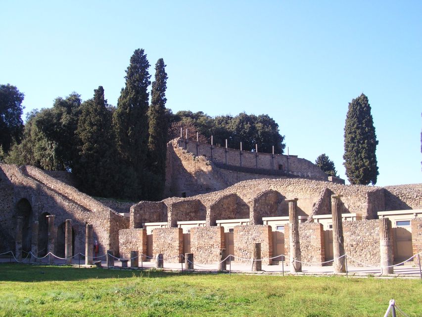 From Naples: Guided Pompei & Mount Vesuvius with Pizza Lunch - Starhotel Terminus pickup and how the day stays on schedule