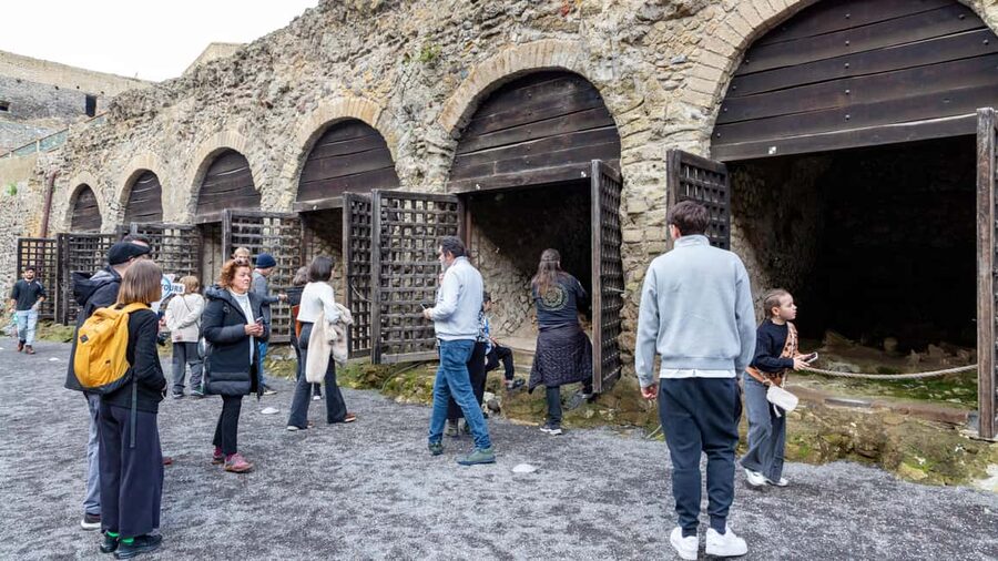 From Naples: Herculaneum Skip-the-Line Guided Tour - Is it worth $63? A value check from a practical angle
