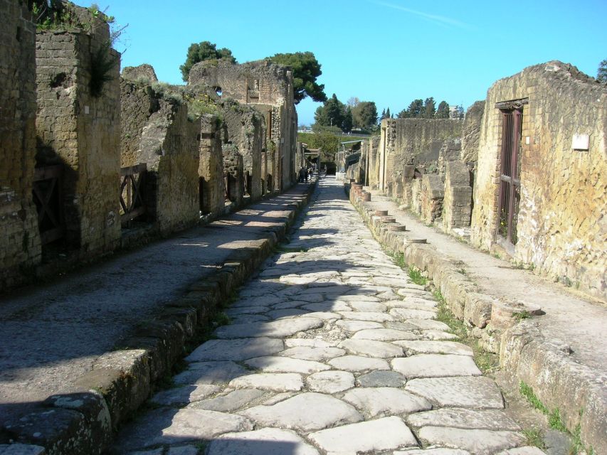 From Naples: Herculaneum Skip-the-Line Guided Tour - Who should book this tour (and who should skip it)