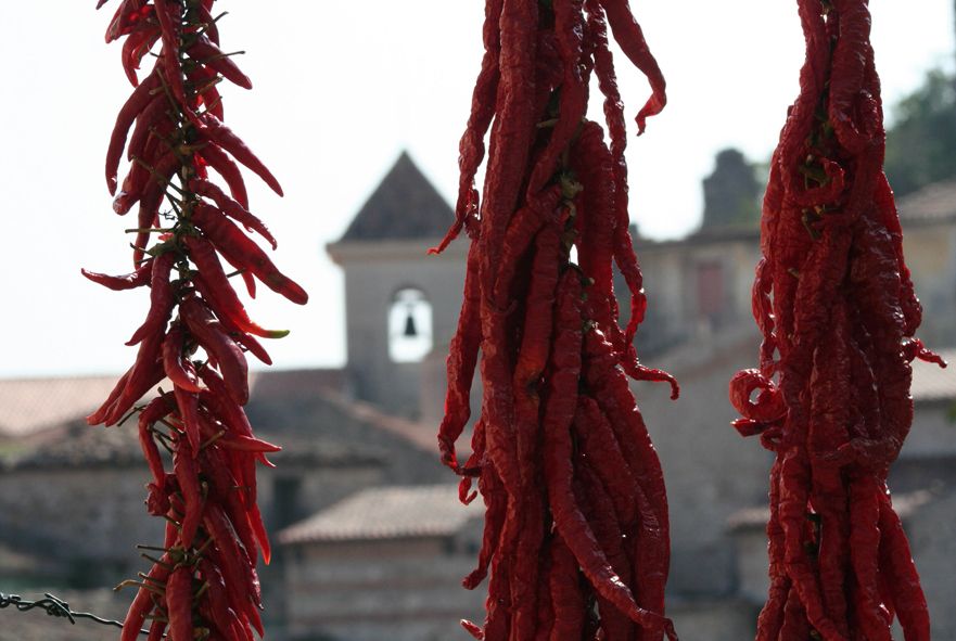 From Naples: Irpinia Wine Tour with 6 Tastings - Irpinia Wine Country: Why This Part of Campania Is Worth a Day Trip