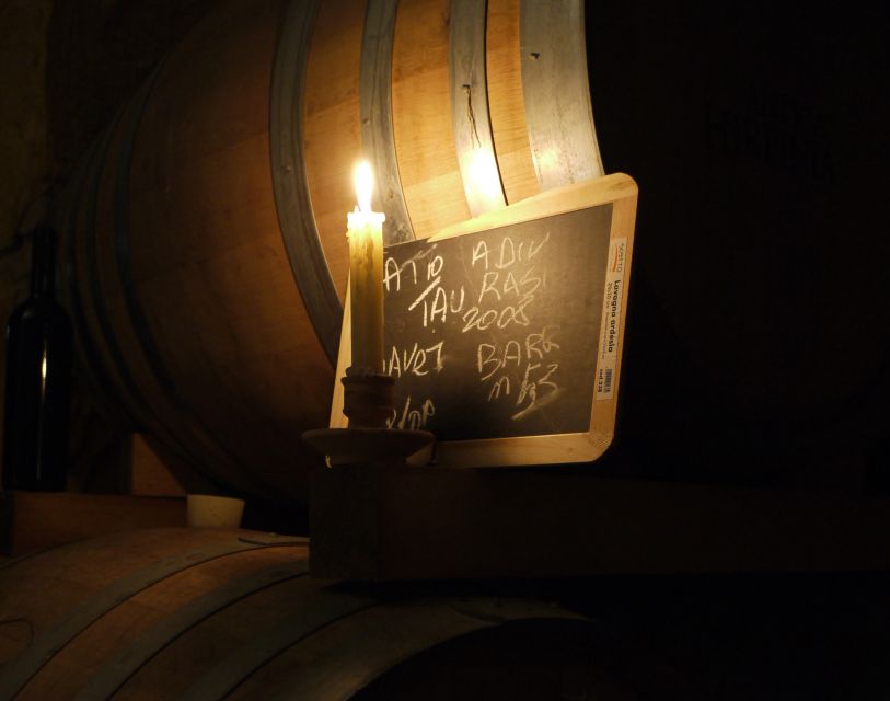 From Naples: Irpinia Wine Tour with 6 Tastings - What You’ll Taste: Taurasi, Fiano di Avellino, Greco di Tufo, Aglianico