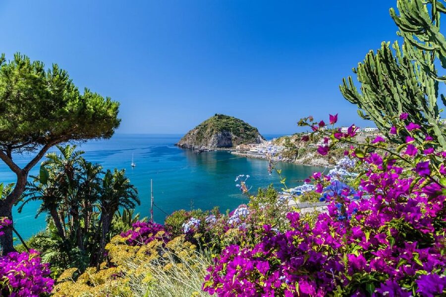 From Naples: Ischia Day Trip with Ferry Tickets and Lunch - Key Things You’ll Notice Before You Go
