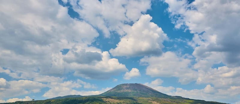 From Naples or Pompeii: Vesuvius Easy Tour - Price and logistics: what the $45 actually covers