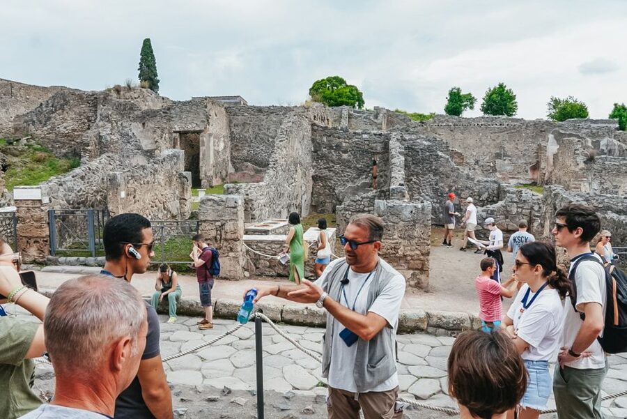 From Naples or Sorrento: Pompei Half-Day Tour - Language, Guides, and How to Choose the Right Support