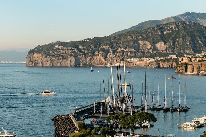 From Naples: Pompeii and Sorrento Guided Tour - Mount Vesuvius: coach up, then walk to the crater