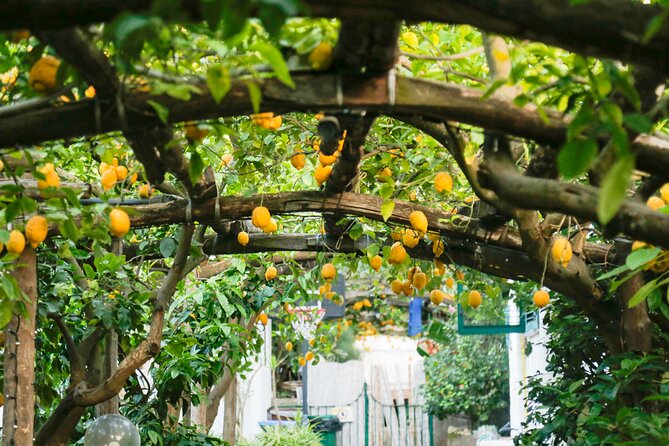From Naples: Pompeii and Sorrento Guided Tour - Sorrento’s historic center: guided walk, then freedom