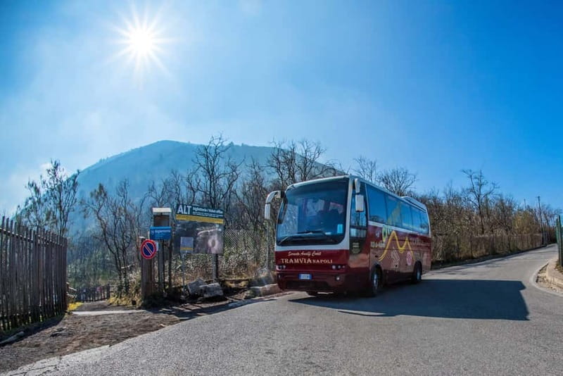 From Naples: Pompeii and Vesuvius by Bus - Mount Vesuvius to the 1,000 Meter Point: Views, Walking, Timing