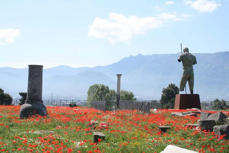 From Naples: Pompeii and Vesuvius by Bus - Should You Book This Naples Bus Trip to Pompeii and Vesuvius?