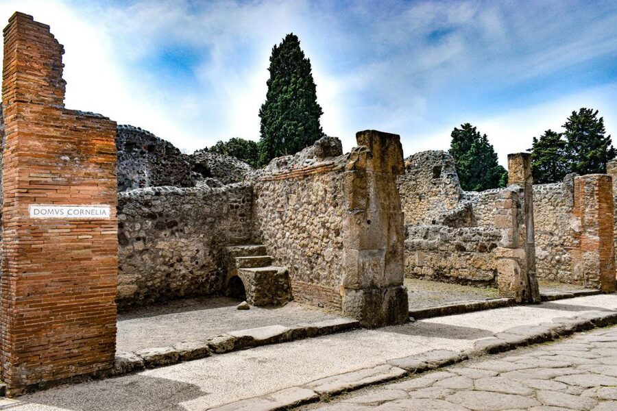 From Naples: Pompeii and Vesuvius Full-Day Tour with Lunch - Vesuvius hike and views: nature reserve walk, ascent, and realistic expectations