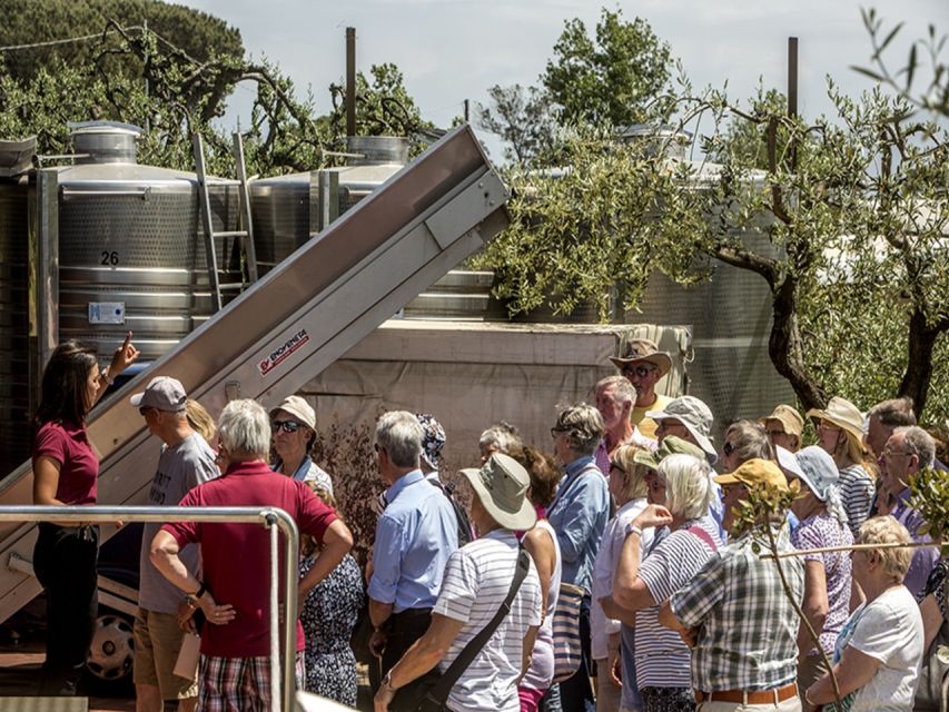 From Naples: Pompeii and Wine Tasting Tour with Lunch - Key highlights worth planning around