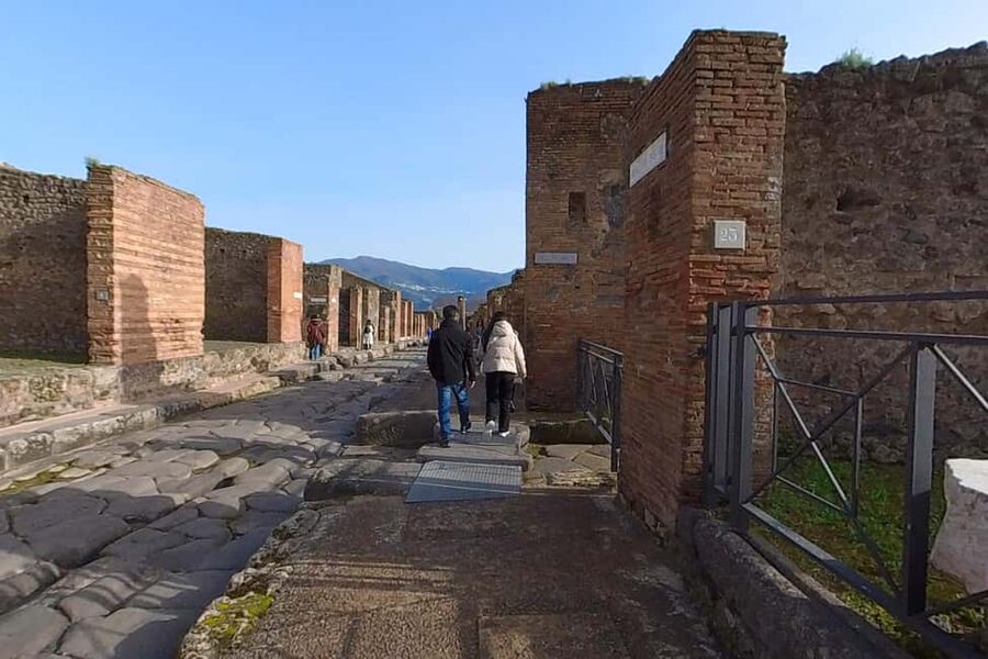 From Naples: Pompeii Guided Tour, Skip-the-Line & Transport - Getting From Naples: Starhotels Terminus to Pompeii and Back